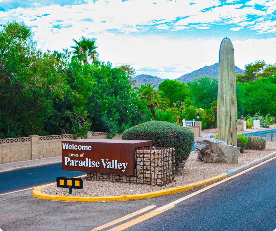 Paradise Valley view